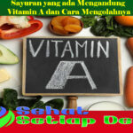 Sayuran yang ada Mengandung Vitamin A dan Cara Mengolahnya