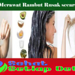 Cara Merawat Rambut Rusak secara Alami