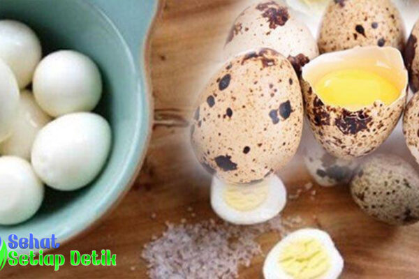 Telur Puyuh: Kaya Nutrisi dan Manfaat Kesehatan yang Luar Biasa